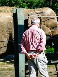Bronx Zoo - Tierpark der Superlative – Phil and Jim with an elephant.