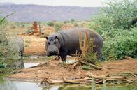 Abenteuer Namibia – Abenteuer Namibia (2019)