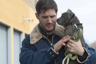 The Drop - Bargeld – Bob Saginowski (Tom Hardy) ist ein einfacher, harmloser Typ, der in der Bar seines Onkels Marv hinter dem Tresen arbeitet, sich aber aus all den schmutzigen Dingen, die auch vor seinen Augen gedreht werden, tunlichst heraushält. Doch eines Tages, als er sich eines herrenlosen Hundes annimmt, ändert sich dies ...