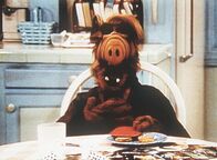 Alf – Alf (1987)