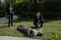 Blue Bloods - Crime Scene New York – Blue Bloods - Crime Scene New York (2017)