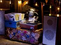 Shaun das Schaf – Noch hat Shaun alles im Griff - aber dann gerät der Discoabend in der Scheune völlig außer Kontrolle, als die ungeladenen Schweine das DJ-Pult und die Tanzfläche übernehmen.