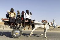 Khartoum – Die Teeverkäuferin Khadmallah (li.) unterwegs in einem Eselskarren