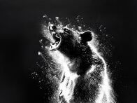 Cocaine Bear – Di, 07.04., 20:15 Uhr