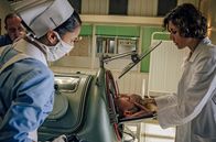 Charité – Kinderlähmung? Als die Lungenfunktion des kleinen Werner (Hugo Gross, Mi.) versagt, muss Kinderärztin Dr. Ingeborg Rapoport (Nina Kunzendorf, re.) den Jungen in die Eiserne Lunge legen. Schwester Arianna (Patricia Meeden, li.) assistiert.