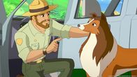 Lassie – Ranger Graham schickt Hündin Lassie gemeinsam mit den Kindern los, um Mrs. Lee das Gegengift zu bringen.