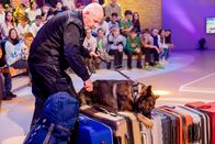 1, 2 oder 3 – Zollbeamter Thomas Dyrda und Schäferhund Idris präsentieren, wie sie am Flughafen verbotene Gegenstände in Reisekoffern aufspüren.