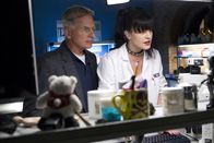 Navy CIS – Ein neuer Fall beschäftigt Gibbs (Mark Harmon, l.) und Abby (Pauley Perrette, r.) ...