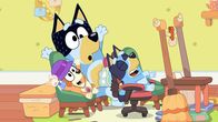 Bluey – L-R: Bingo, Bandit, Bluey