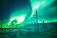 Einstein – Grün ist die häufigste Farbe des Nordlichts.