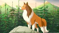 Lassie – Lassie ist stets hilfsbereit.