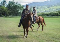 Hawaii Five-0 – Steve McGarrett (Alex O'Loughlin, l.); Joe White (Terry O'Quinn, r.)