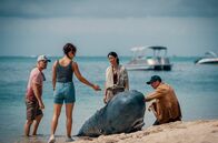 Retter der Meere: Tödliche Strandung – V. li. n. re.: Morten Solheim (Erik Madsen), Manu Hauser (Haley Louise Jones), Pit Wagner (Daniel Roesner) und Yuna Bartosch (Luka Omoto) untersuchen das gestrandete Walbaby.
