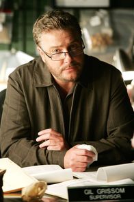 CSI: Den Tätern auf der Spur – CSI: Den Tätern auf der Spur (2008)