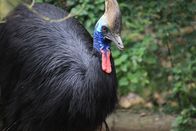 Jurassic C.S.I. – Sa, 05.07., 17:50 Uhr