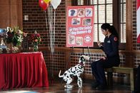 Chicago Fire – Chicago Fire (2019)