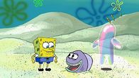 SpongeBob Schwammkopf – SpongeBob (l.), Bubble Buddy (r.)