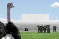 Athleticus – „Athleticus“ macht Tiere zu den größten Athleten. Auf ulkige, doch sehr realistische Weise üben sie die Sportarten der Menschen mit engagierter, persönlicher Note aus.
