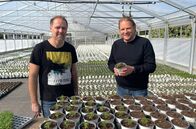Der Vorkoster – Schonmal was von Austernkraut gehört? Gärtner Meik Enseleit (l) zeigt Björn Freitag (r), was das Kraut so besonders macht.