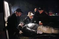 Navy CIS – Jimmy Palmer (Brian Dietzen, l.), Ducky (David McCallum, M.) und Gibbs (Mark Harmon, r.) wollen herausfinden, was die Todesursache des Marines war ...