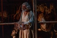 Terra X: Große Mythen aufgedeckt – Noah soll für sich, seine Familie und für ein Paar einer jeden Tierart eine riesige Arche gebaut haben. Zu fantastisch, um wahr zu sein?