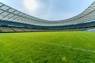 Fußball: Testspiel – Football field