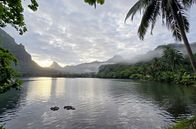 Oasen - Inseln des Lebens – Die Baie d'Opunohu ist eine von zwei langen Buchten, die bis ins Landesinnere der Vulkaninsel Moorea reichen.