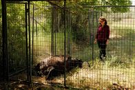 Das Geheimnis der Skinwalker Ranch – Fr, 12.04., 04:05 Uhr