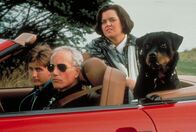 Die Abservierer – Zu Chris' (Richard Dreyfuss, M.) und Bills (Emilio Estevez, l.) großem Verdruss wird ihnen auch noch die Staatsanwältin Gina Garrett (Cathy Moriarty, r.) vor die Nase gesetzt - doch damit nicht genug: Zur Tarnung müssen sie Familie mit ihr spielen ...