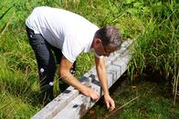 P.M. Wissen – Moore wurden aus wirtschaftlichen Gründen über Jahrzehnte ausgetrocknet. Mit einfachen Holzbarrieren können sie wiedervernässt und damit zu neuem Leben erweckt werden. (Dr. Andreas Bohner, Bodenkundler an der Forschungsanstalt Raumberg-Gumpenstein, engagiert sich für solche Renaturierungsprojekte.)