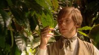 Charles Darwin – Charles Darwin (Sven Hussock) bewundert den tropischen Regenwald.