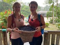 Verrückt nach Meer – Die Passagierinnen Lisa Forster und Christine Spindler mit einem Korb voller Acai-Früchte bei ihrem Ausflug auf Ilha do Combù.