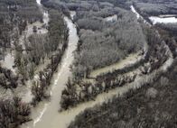 Universum: Die Donau - Lebensader Europas – Luftaufnahme vom Nationalpark Donauauen im Winter.