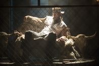 Future Man – Wolf (Derek Wilson)