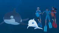 Zoom - Der weiße Delfin – Yann (M.r.), Auru (2.v.r.) und Timeti (r.) sind zusammen mit Zoom (M.) im Meer unterwegs, auf der Suche nach einer neuen Familie für Orca-Wal Billy (l.).