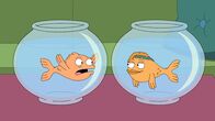 American Dad! – L-R: Klaus, Hayley