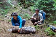 Der Ranger – Im Wald begegnet Jonas (Philipp Danne) der Wolfsbiologin Emilia Graf (Lisa Tzschirner). Sie versieht den Wolf mit einem Peilsender, um seine Route besser verfolgen zu können.