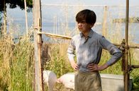 Die Durrells auf Korfu – Der kleine Gerry (Milo Parker) hat zwischen Fauna und Familie viel zu tun.