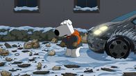 Family Guy – Brian Griffin