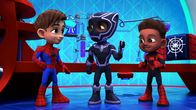 Spidey und seine Super-Freunde – Do, 30.01., 12:05 Uhr