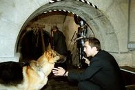 Kommissar Rex – Alexander Pschill (Marc Hoffmann).