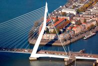 Erlebnis Erde: Wilder Rhein – Die Erasmusbrücke (Erasmusbrug) in Rotterdam ist eines der Wahrzeichen Hollands.