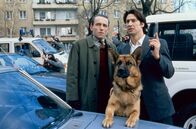 Kommissar Rex – Kommissar Richie Moser (Tobias Moretti, re.), Ernst Stockinger (Karl Markovics) und Rex fahnden im Gemeindebau nach dem Bankräuber.