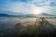 Die letzten Paradiese – Der Regenwald der Insel Borneo ist Lebensraum für etwa 60.000 Tier- und Pflanzenarten – und fast täglich werden neue entdeckt.