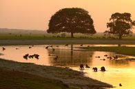 Kolumbien – Neben dem Amazonas beherrscht ein weiterer Fluss den Osten Kolumbiens: der Orinoco.
