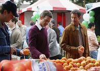 Desperate Housewives – Während Ian (Dougray Scott, M.) und Mike (James Denton, r.) auf einem Wochenmarkt zufällig aufeinander treffen, haben ihre erste gemeinsame Enttäuschung hinter sich gebracht ...