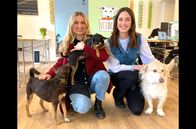 Re: – Die beiden VegDog-Chefinnen Tessa Zaune-Figlar (li.) und Valerie Henssen (re.) leben - wie auch ihre Hunde - vegan.