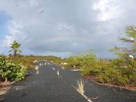 Mysteriöse Inseln – In den Weiten des zentralen Pazifiks, etwa 1300 Kilometer südwestlich von Honolulu, liegen mehrere kleine Inseln, die sich entlang eines ausgedehnten Korallenriffs erstrecken. Die größte von ihnen ist das Johnston-Atoll. Der kurze Busch und der sandige Boden bieten einen Nist- und Bruthafen für wandernde Seevögel, darunter Bobbies, Albatrosse und tropische Rotschwanzvögel. (Kredit: Michael Skandalis)