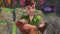 Peter Pan - Neue Abenteuer – Peter Pan im Wald des Raunens auf Nimmerland.