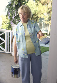 Desperate Housewives – Desperate Housewives (2006)